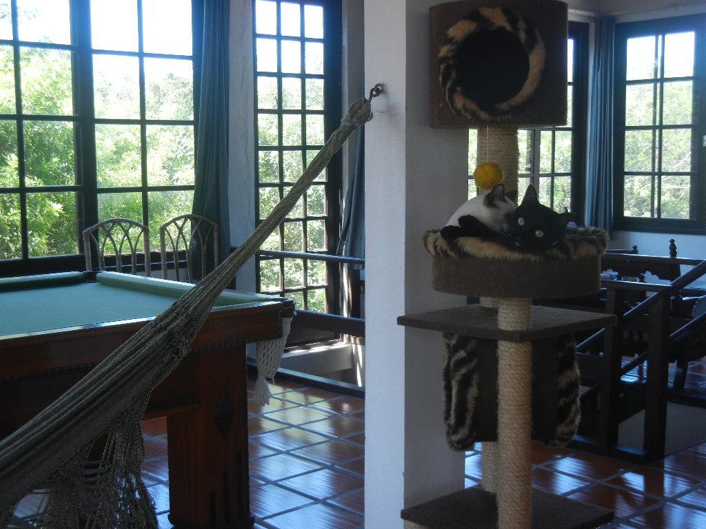 Hotel The Cats' House Florianópolis Zewnętrze zdjęcie