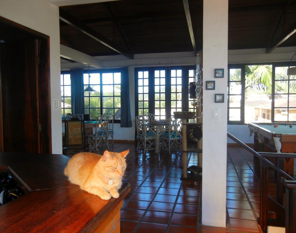 Hotel The Cats' House Florianópolis Zewnętrze zdjęcie