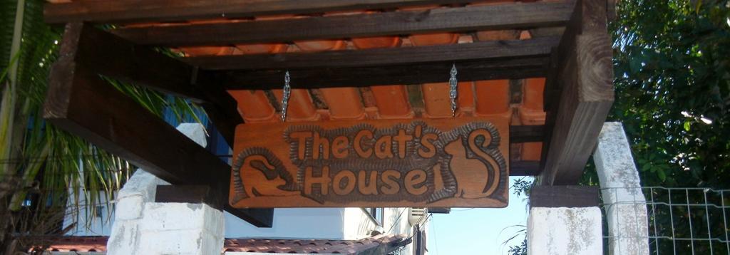 Hotel The Cats' House Florianópolis Zewnętrze zdjęcie