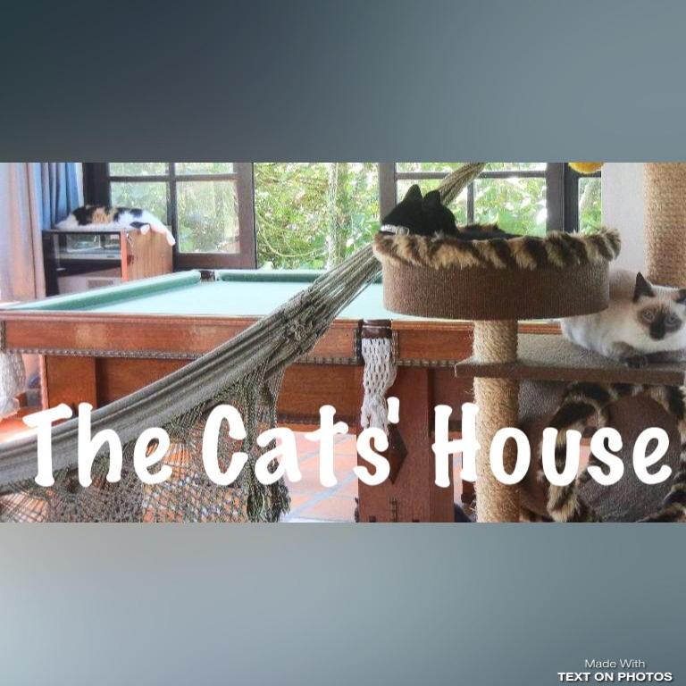Hotel The Cats' House Florianópolis Zewnętrze zdjęcie