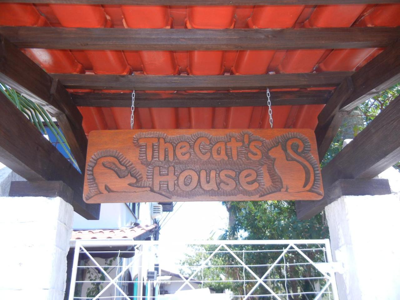 Hotel The Cats' House Florianópolis Zewnętrze zdjęcie
